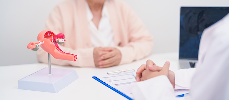 Woman consulting with her gynaecologist in a clinic, discussing reproductive health and concerns.